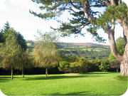 Holiday Cottage Devon