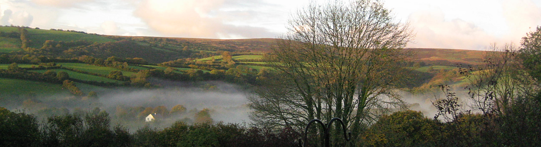 Dartmoor Mist